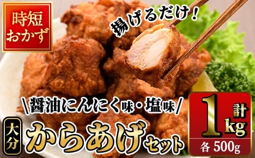 Z g邾 啪 炠 ݖɂɂE炠 Zbg (v1kgEe500g) Y {ނ˓ {  炠 g  Zbg nO Hה Ⓚ y 