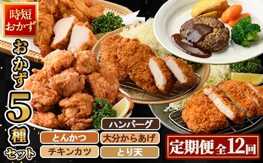 <定期便・全12回(毎月)>下ごしらえ済み おかず5種セット (5種・合計2.3kg×12回) からあげ 唐揚げ とり天 チキンカツ とんかつ ハンバーグ 冷凍 惣菜 お弁当 簡単 時短 定期便【DH314】【ネクサ