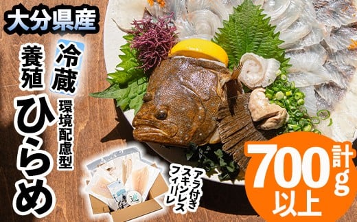 z^ {B Ђ `meguri` ^pbN (v700gȏEhgp gAGKÁAA)  ̘a hg  CN ① ^ 񂪂 啪 s  zs yEL15