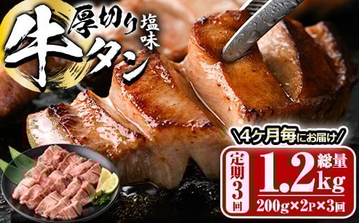 ցES3 (4Ƃ̔)؂  ^ (1.2kg)     ^  t ē  BBQ Ⓚ 啪 syDH315zylNTz啪s42000