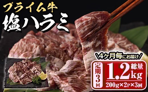 <定期便・全3回 (4か月ごとの発送)>プライム牛 塩ハラミ(総量1.2kg) 定期便小分け 牛肉 肉 ハラミ 牛はらみ 味付け 焼肉 塩 BBQ 冷凍 大分県 佐伯市【DH321】【ネクサ】大分県佐伯市42000肉牛肉