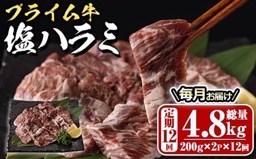 <定期便・全12回 (毎月の発送)>プライム牛 塩ハラミ(総量4.8kg) 定期便 小分け 牛肉 肉 ハラミ 牛はらみ 味付け 焼肉 塩 BBQ 冷凍 大分県 佐伯市【DH323】【ネクサ】大分県佐伯市165000肉牛肉