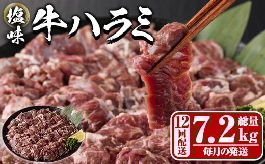 ցES12 (̔) n~(7.2kg)     n~ ͂ t ē  BBQ Ⓚ 啪 syDH326zylNTz啪s150000
