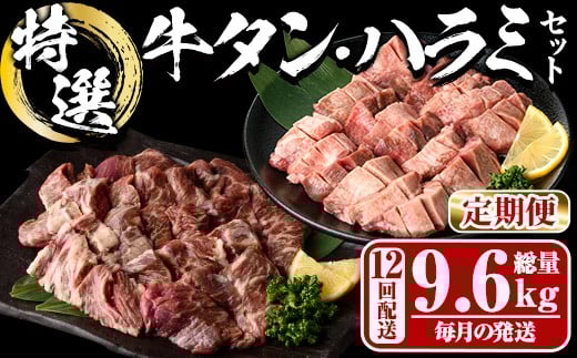 <定期便・全12回 (毎月の発送)> 特選 牛タン ・ 牛ハラミ セット (総量9.6kg) 定期便 小分け 牛肉 肉 タン 牛たん ハラミ 牛はらみ 詰め合わせ 味付け 焼肉 塩 BBQ 冷凍 大分県 佐伯市【DH329】【
