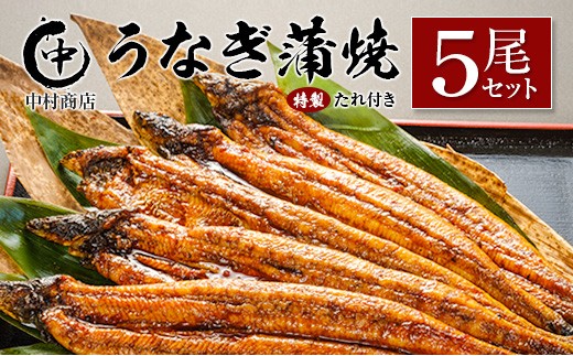 X Ȃ5Zbg v905gȏ{茧51000ECYȂ