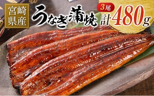 宮崎県産 うなぎ 蒲焼 3尾 計480g 個包装 長焼 国産 鰻宮崎県31000魚介・海産物うなぎ