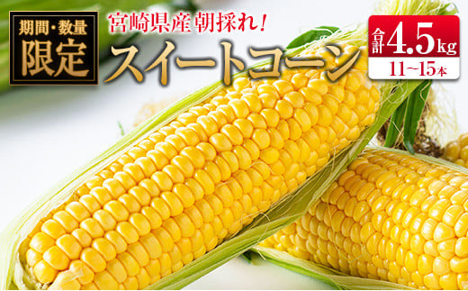 ◆朝採れスイートコーン (合計約4.5kg) 宮崎県産宮崎県11000野菜・きのことうもろこし