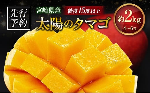 s\ {茧Y n}S[uz̃^}Sv2kg v4`6 2026N uh 썑 gsJ t[c ʕ  ϔ{茧58000ʕEt[c}S[EpCib