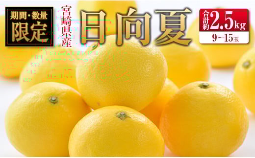 {茧YnEX v2.5kgi9`15ʓj{茧11000ʕEt[c݂Ek