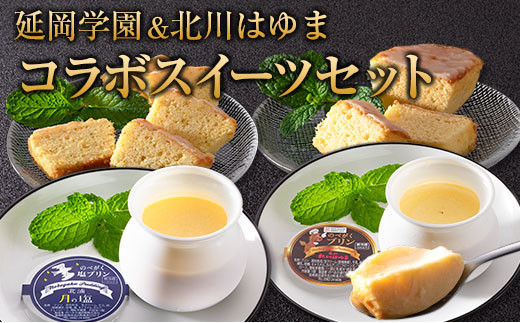 □延岡学園&北川はゆまコラボスイーツセット宮崎県14000菓子・スイーツプリン・ゼリー