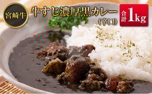 ◆宮崎牛すじ濃厚黒カレー(辛口) 合計1kg(200g×5食)宮崎県11000鍋セット・総菜・加工食品総菜