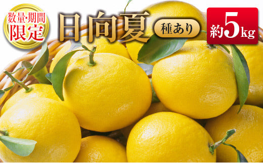 {茧Y In 5kgitl߁j{茧13000ʕEt[c݂Ek