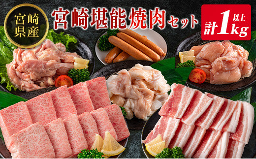 ◇宮崎県産のお肉を堪能!! 老舗焼肉店の焼肉セット(タレ・塩胡椒付き )計1kg以上宮崎県21000肉牛肉
