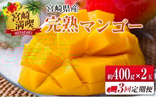 ◇「宮崎満喫」 完熟マンゴー約400g×2玉 3回定期便宮崎県48000果物・フルーツマンゴー・パイナップル