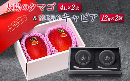 z̃^}S(4L×2)Ƌ{茧YLrA12g×2Zbg{茧115000ʕEt[c}S[EpCibv