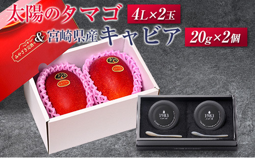 太陽のタマゴ(4L×2玉)と宮崎県産キャビア20g×2個セット宮崎県144000果物・フルーツマンゴー・パイナップル