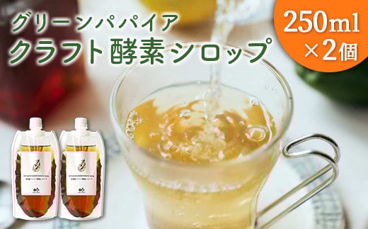 クラフト酵素シロップ グリーンパパイア 250ml×2個 宮崎県産宮崎県10000鍋セット・総菜・加工食品その他 鍋セット・総菜・加工食品
