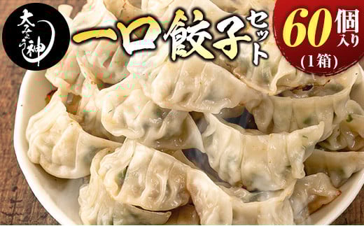 uLq̑喾_vLqZbg 1i60j{茧19000ZbgE؁EHHi