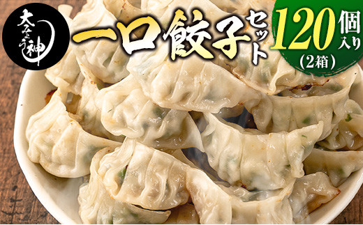 ◇「一口餃子の大明神」一口餃子セット 2箱(120個入り)宮崎県37000鍋セット・総菜・加工食品総菜