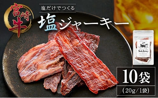 塩だけでつくる 宮崎牛 塩ジャーキー 10袋(20g×10袋)ブランド牛 ビーフジャーキー おつまみ 珍味 グルメ 干し肉 宮崎県産宮崎県69000肉その他 肉