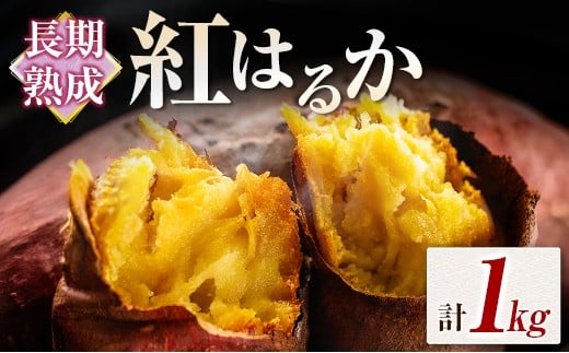 長期熟成 紅はるか 計1kg 宮崎県都城市産 さつまいも サツマイモ宮崎県10000野菜・きのこじゃがいも・イモ類