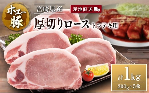 Yn {茧Y zG[ ؂胍[X geL v1kgi200g×5j Y ؓ Xe[L{茧13000ؓ