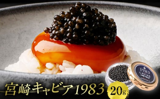 宮崎キャビア1983 (20g) 国産キャビア キャビア きゃびあ 高級 ギフト 卵 本格熟成キャビア 缶 キャビアマイスター 伊勢志摩サミット 贈答 贈り物 プレゼント 贈答用 化粧箱入り 化粧箱 珍味