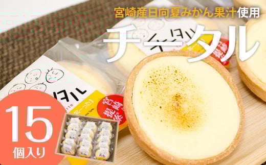 {Y̓Ẳ݂ʏ`gǂ̗ǂ`[Y^gu`[^ (15)v_M013-001_01{茧{s18000َqEXC[c̑ mَq