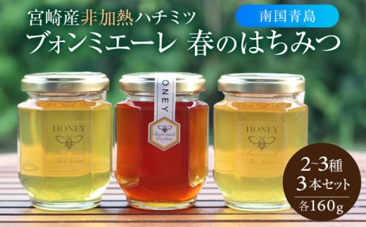 【最速便】【数量・期間限定】宮崎産非加熱ハチミツ(南国青島シリーズ)2〜3種 ブォンミエーレ春のハチミツ160g×3本セット_M085-002_01宮崎県宮崎市18000鍋セット・総菜・加工食品ジャム・はち