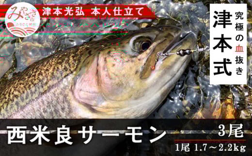 sÖ{tėǃT[R `Ö{O{ldā`_M135-006_03{茧{s107000ECYN