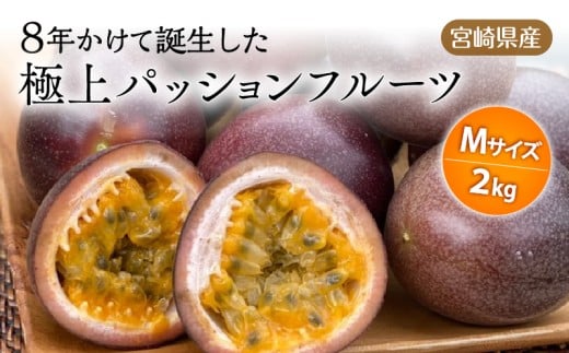 s2026Ns\tyʁEԌz8NĒa{茧YɏpbVt[cl 2kg_M057-004{茧{s16000ʕEt[c̑ ʕEt[c