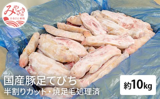 国産 豚足てびち 半割りカット済み 焼足毛処理済 冷凍 約10kg (20〜30本前後)_M032-002_01宮崎県宮崎市13000肉豚肉