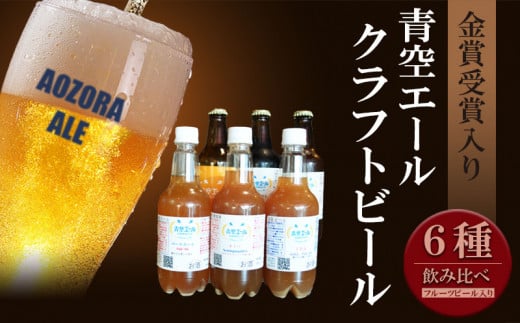 青空エールこだわりのクラフトビール飲み比べ詰め合わせセット〈フルーツビール入り〉6種6本(330ml 瓶×3本、500mlペットボトル×3本)_M170-003_12宮崎県宮崎市15000酒・アルコールビール・発泡
