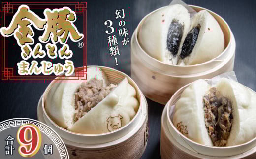 金豚まんじゅうセット_M166-001_01宮崎県宮崎市18000肉その他 肉