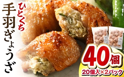 ЂƂH傤 v40 20×2pbN | Lq H Ă   H HLq {Lq n O nO ܂  ؗ ĂLq gLq { ؓ 