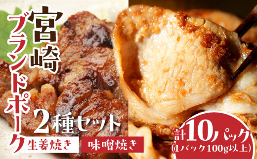 宮崎ブランドポーク2種セット 生姜焼き・味噌焼きセット 計10パック(1パック100g以上)_M199-002宮崎県宮崎市13000肉豚肉