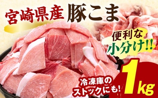 宮崎県産豚肉小間切れ 200g×5パック_M109-024宮崎県宮崎市9000肉豚肉