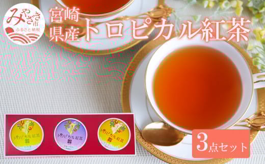 gsJg 3_ Zbg_M054-005{茧{s11000ER[q[Eg