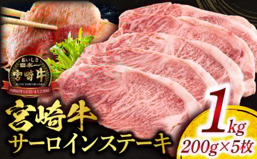 宮崎牛サーロインステーキ 合計1kg_M144-014宮崎県宮崎市57000肉牛肉