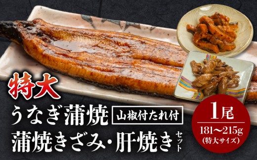 s2025N12\tYȂ(TCY)E݁ȄĂZbg_M069-014_01-dec{茧{s14000ECYȂ