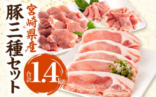 宮崎県産 豚ロース トンカツ 5枚 豚ロース しゃぶ 500g×1 豚ヒレ トンカツ 400g×1_M132-029宮崎県宮崎市13000肉豚肉