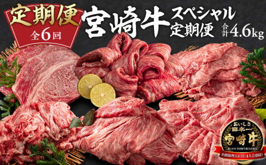 定期便 6ヶ月 お楽しみ 宮崎牛 スペシャル6種セット 計4.6kg【牛肉 国産 宮崎牛 6回 毎月】みやざき牛 全6回 冷凍便 すきやき すき焼き 肉 お肉 にく おにく 焼肉 焼き肉 焼肉用 焼き肉用 ロー