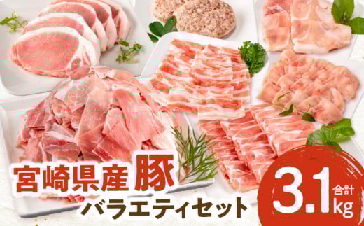 宮崎県産豚 バラエティセット7種 合計3.1kg_M132-038宮崎県宮崎市17000肉豚肉