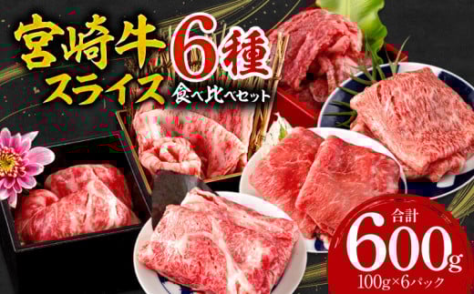 宮崎牛 スライス 6種 食べ比べ セット 合計600g_M132-043宮崎県宮崎市21000肉牛肉