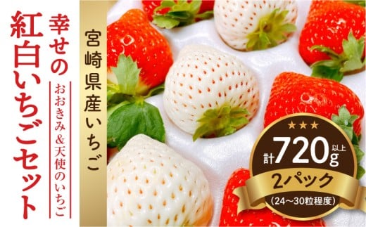 《2026年発送》【数量・期間限定】宮崎県産 幸せの紅白いちごセット(おおきみ&天使のいちご)2パック_M260-007宮崎県宮崎市26000果物・フルーツいちご