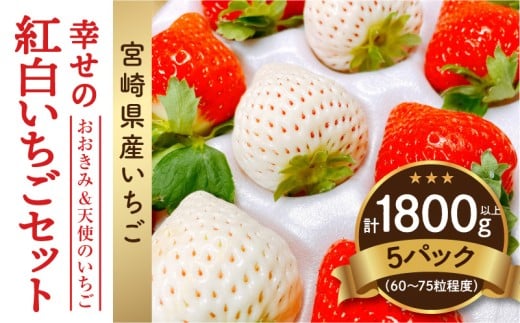 《2026年発送》【数量・期間限定】宮崎県産 幸せの紅白いちごセット(おおきみ&天使のいちご)5パック_M260-008宮崎県宮崎市80000果物・フルーツいちご