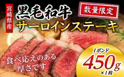 数量限定 宮崎県産黒毛和牛 サーロインステーキ 1ポンド 450g_M268-001宮崎県宮崎市15000肉牛肉
