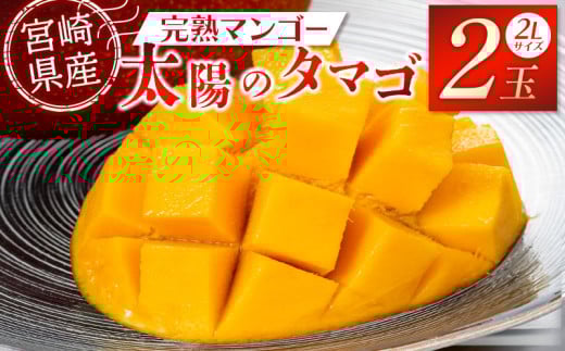 s2026Ns\tyʁEԌz{Yi {茧Yn}S[ z̃^}S 2L×2_M275-004{茧{s21000ʕEt[c}S[EpCibv