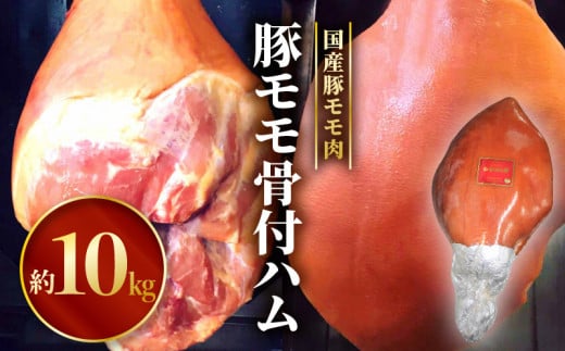 ؃tn_M009-006{茧{s120000ؓ