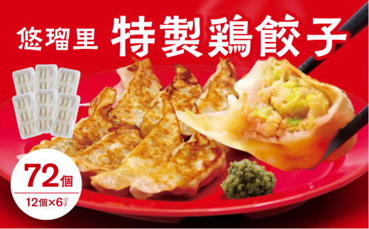 悠瑠里特製鶏餃子72個【宮崎市は餃子購入頻度ランキング 2年連続第1位_M293-003宮崎県宮崎市12000鍋セット・総菜・加工食品総菜